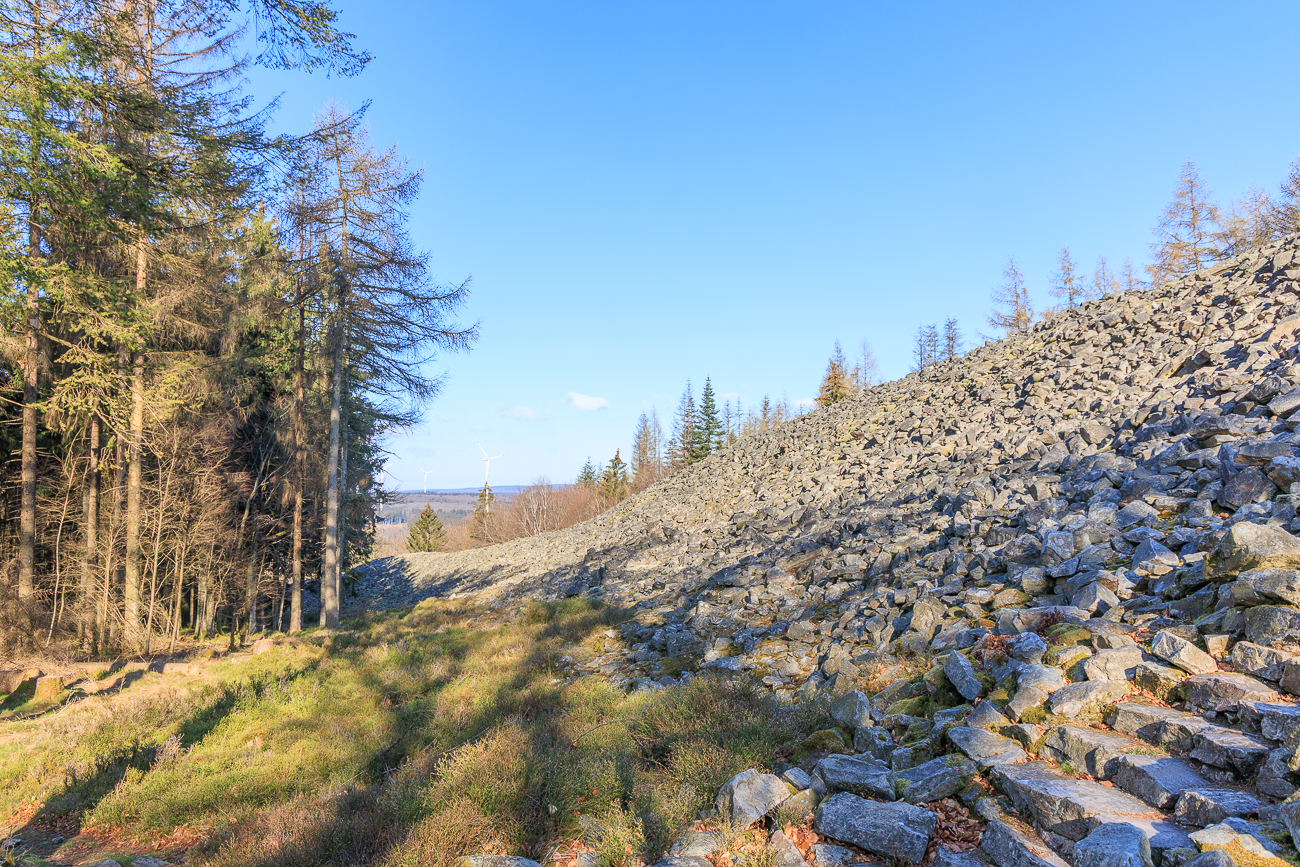 Blick vom Fuß der Treppe auf den Ringwall