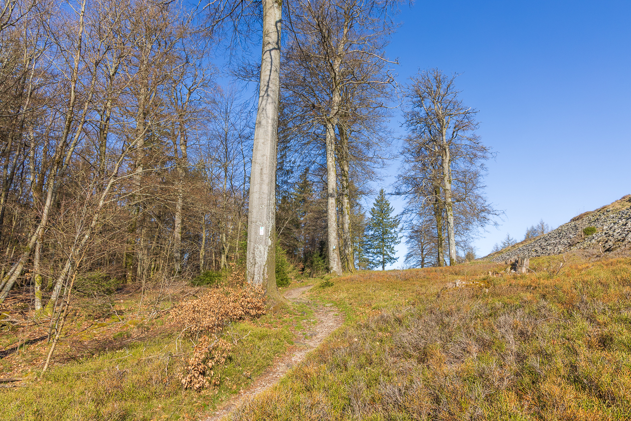 Wanderweg am Fuß des Ringwalls