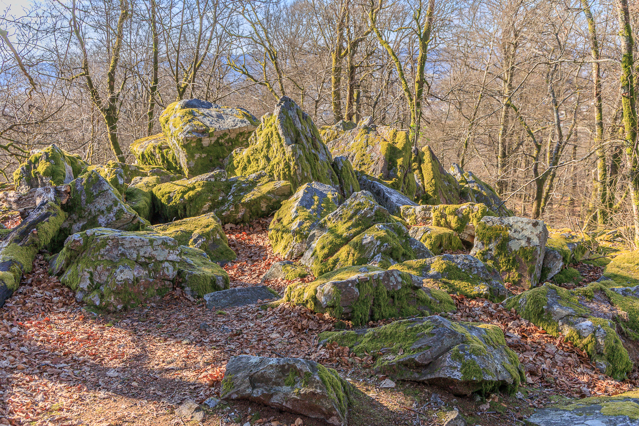 Junge Felsen am Wegesrand ;-)