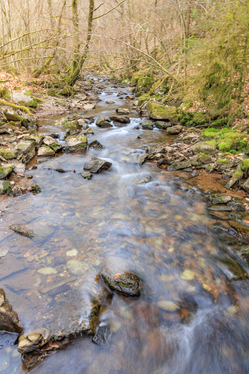 Am Altbach (Königsbach)