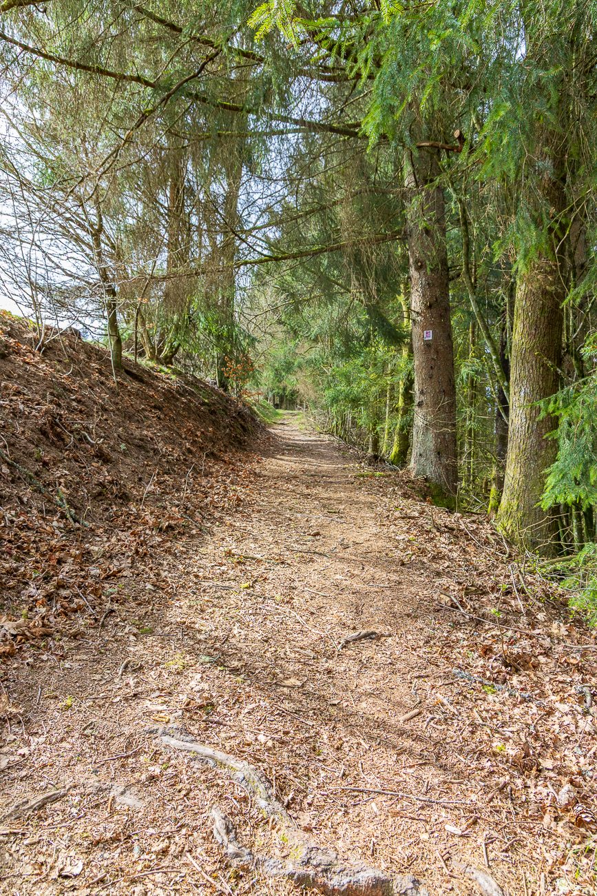 Hat man den Berg geschafft ...