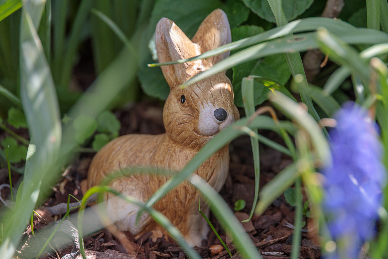 Auch am Ostermontag ist der Osterhase noch zu sehen ;-)