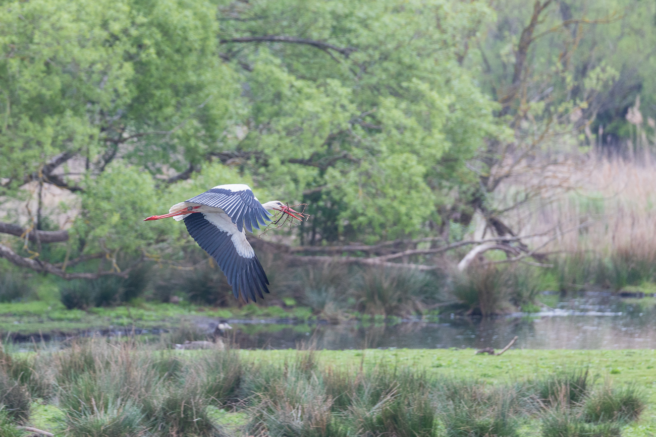 ... per Luftpost ...