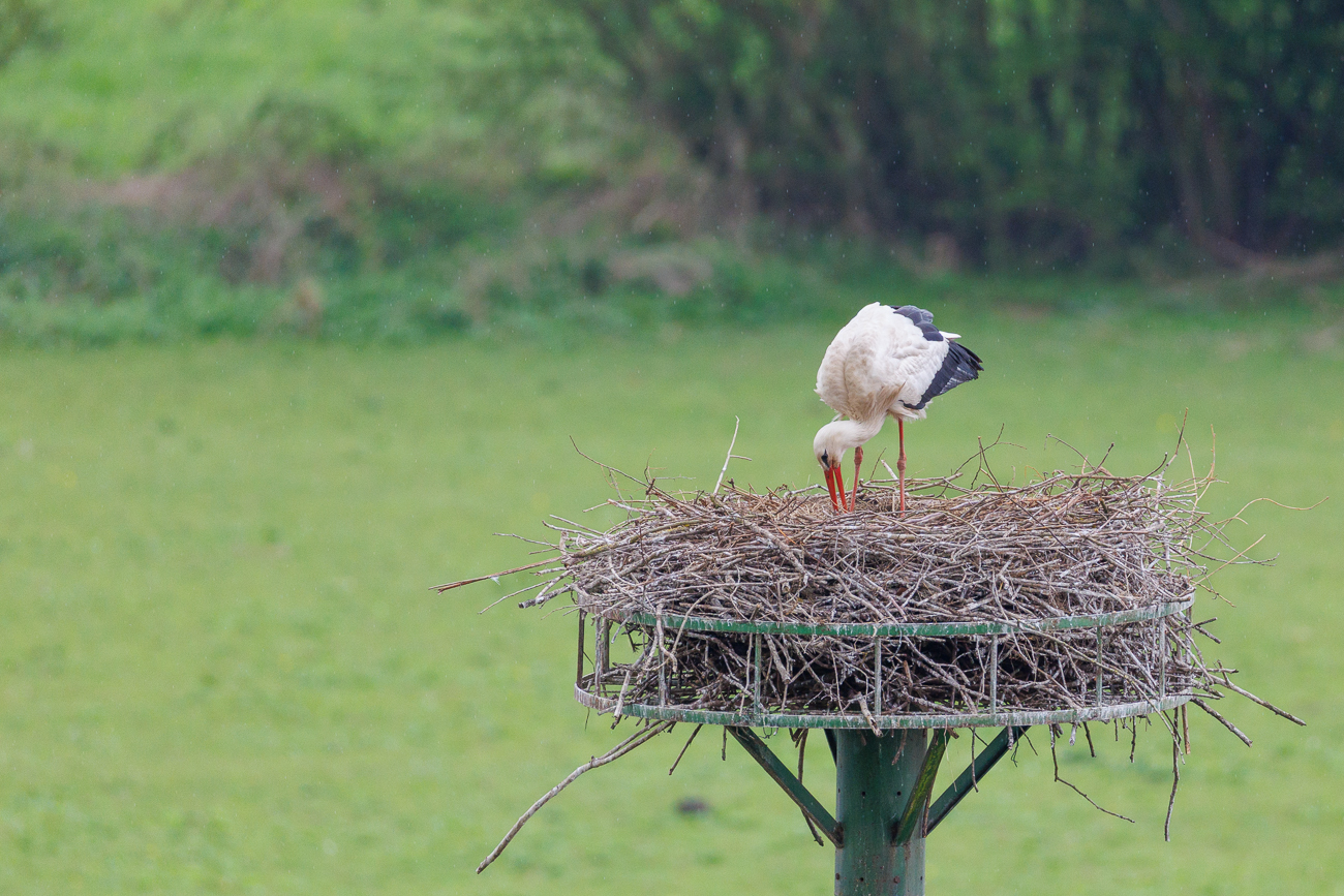 ... leider kann man diese nicht sehen