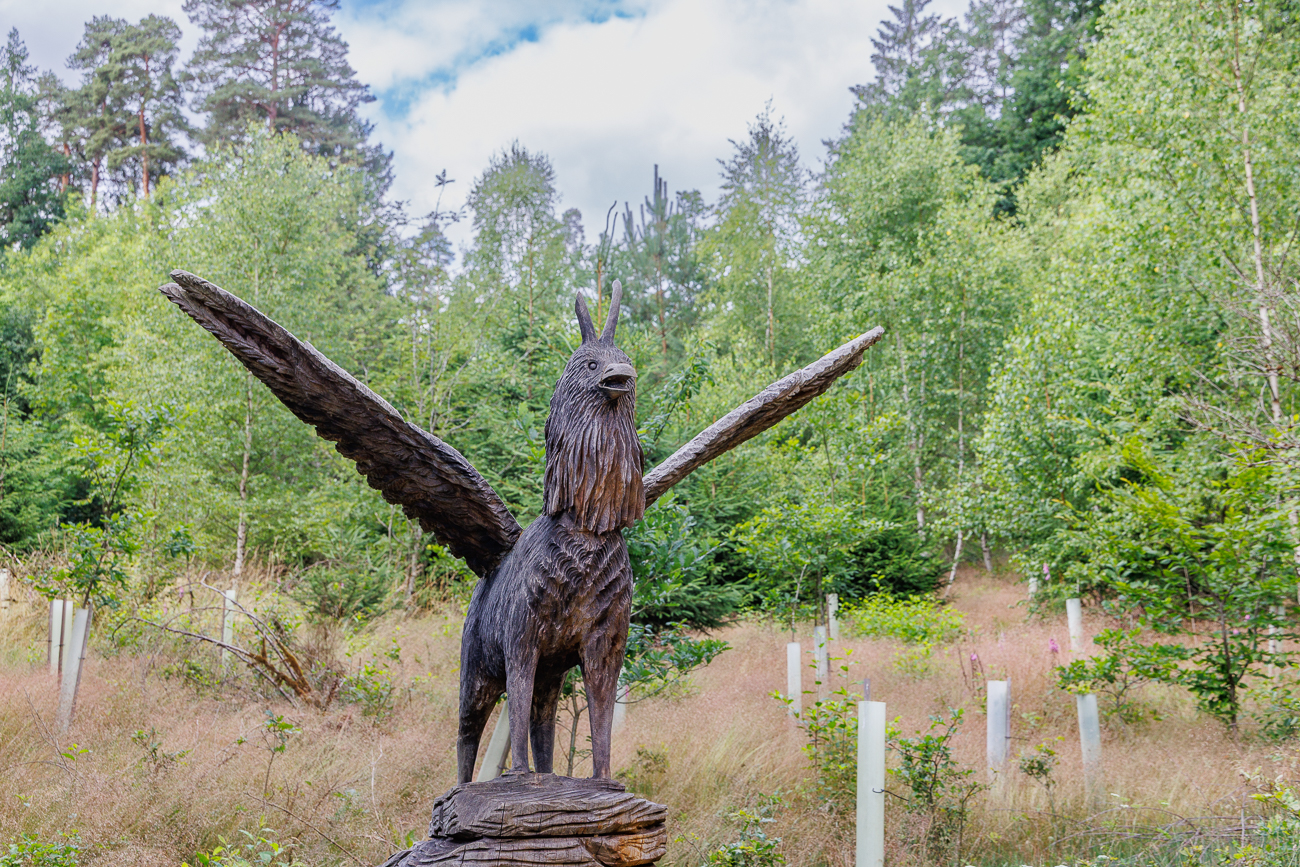 Hier etwas größer dargestellt ...
