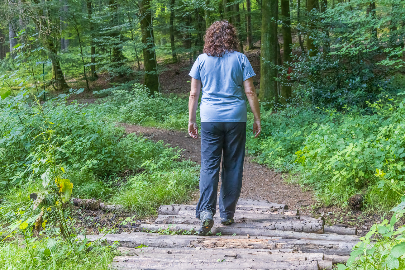 ... und auf dem "Holzweg" ;-)