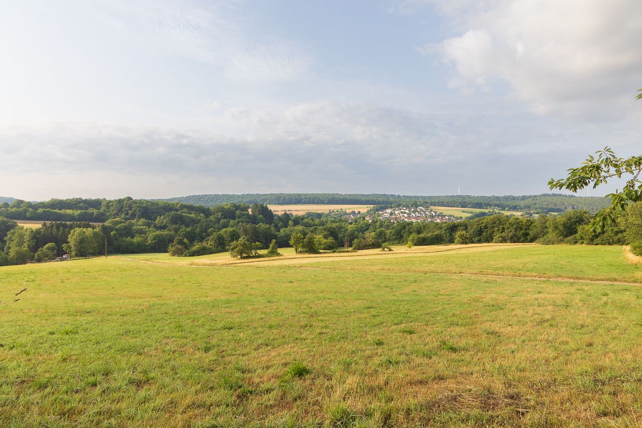 Landschaft bei Bergweiler