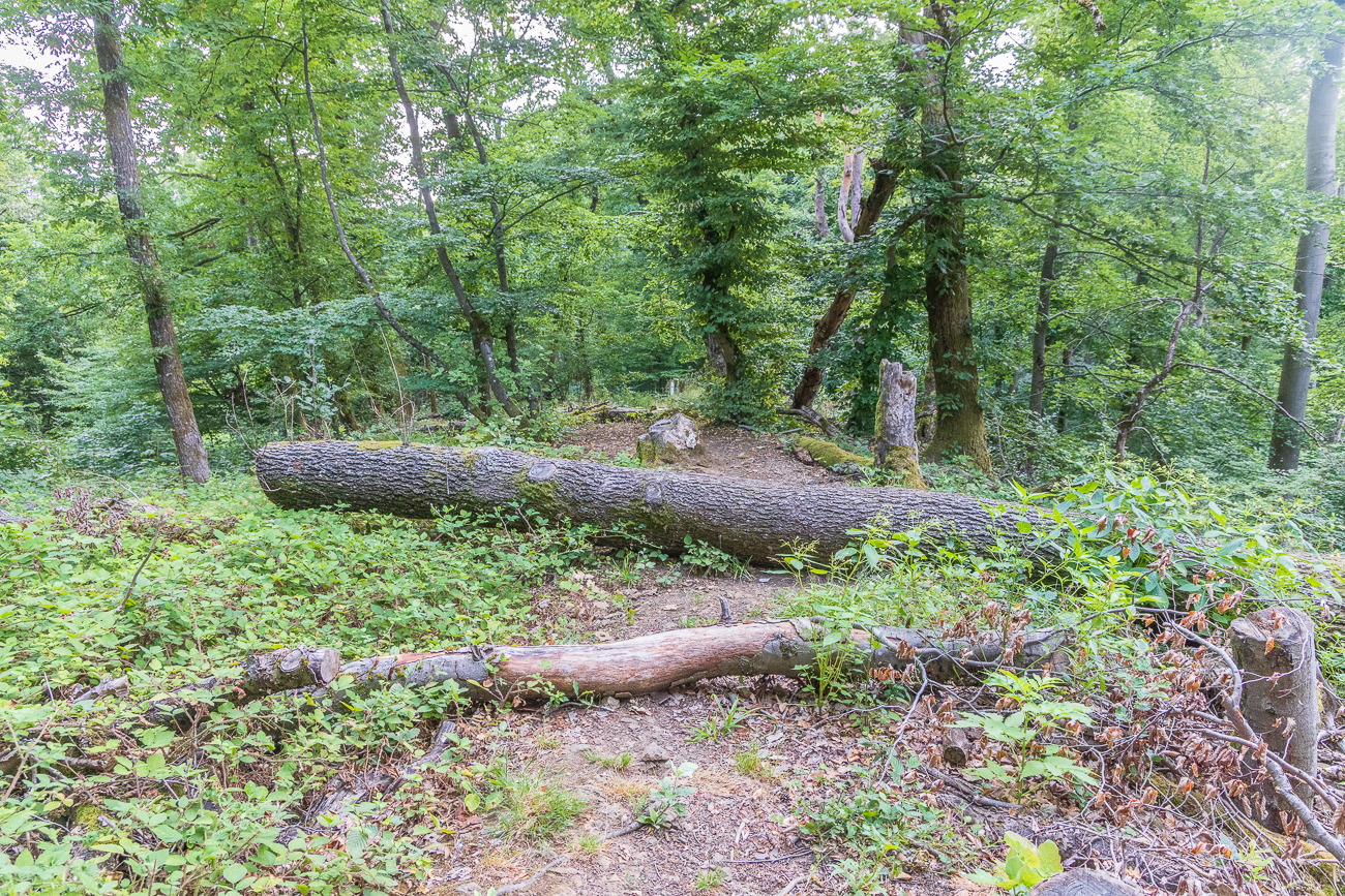 Ja sind wir denn hier beim Springreiten? ;-)