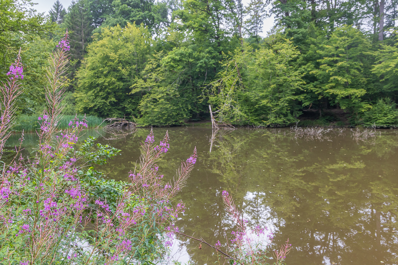 Weiher nahe Bildstock