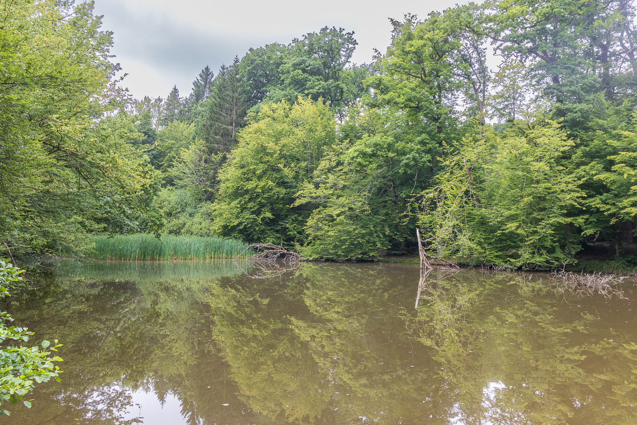 Weiher nahe Bildstock