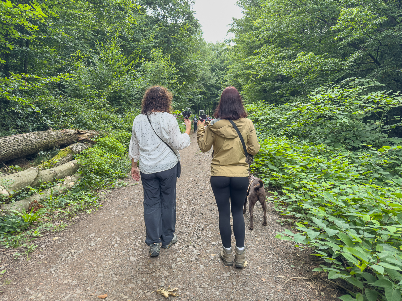 Weinwanderung mit Hund, damit wir nach dem vielen Wein wieder zurück geführt werden ;-)