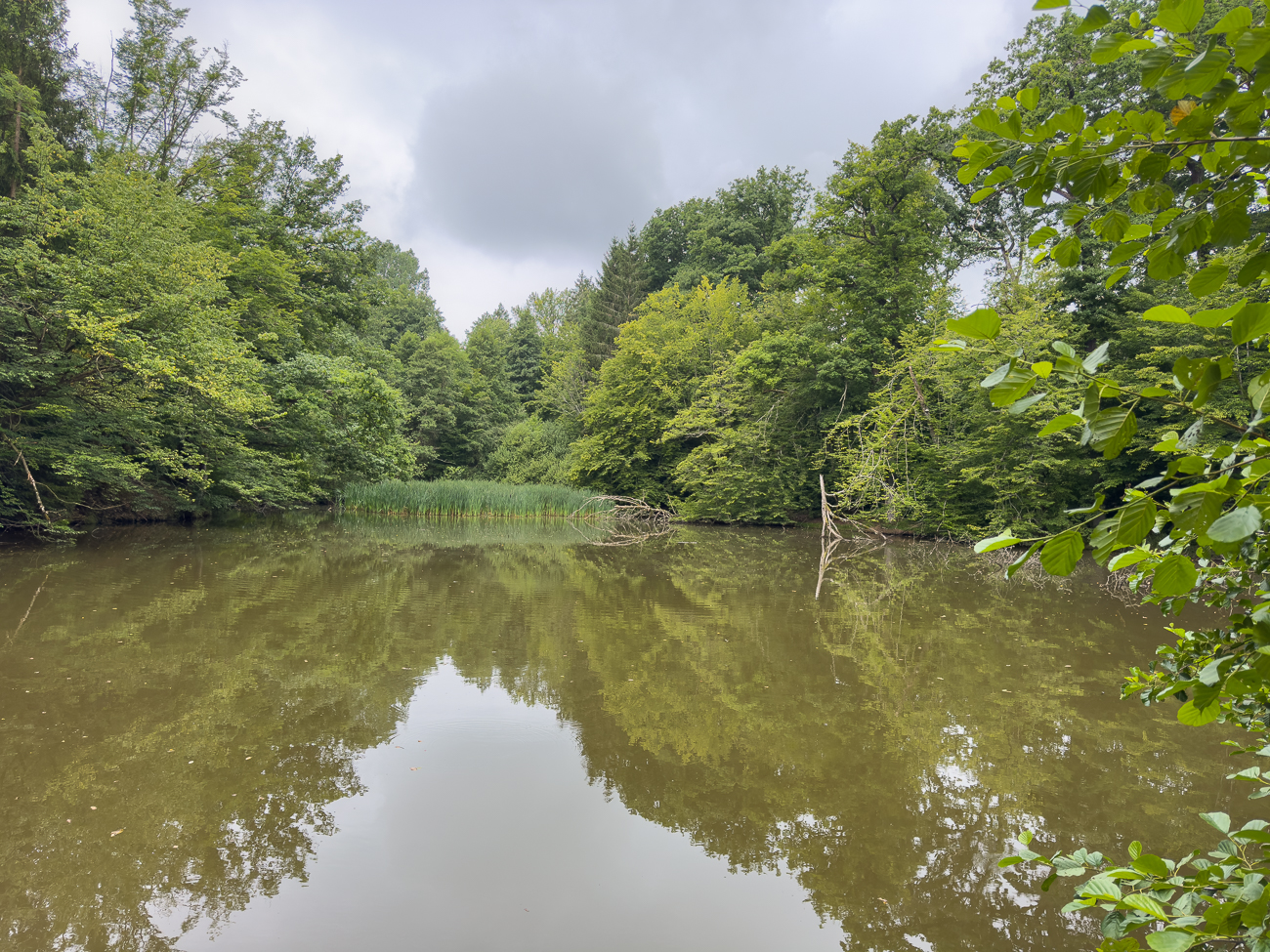 Weiher nahe Bildstock
