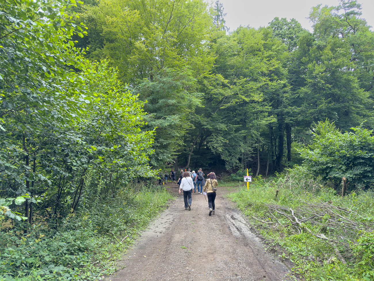 Da sind einige Weinliebhaber unterwegs
