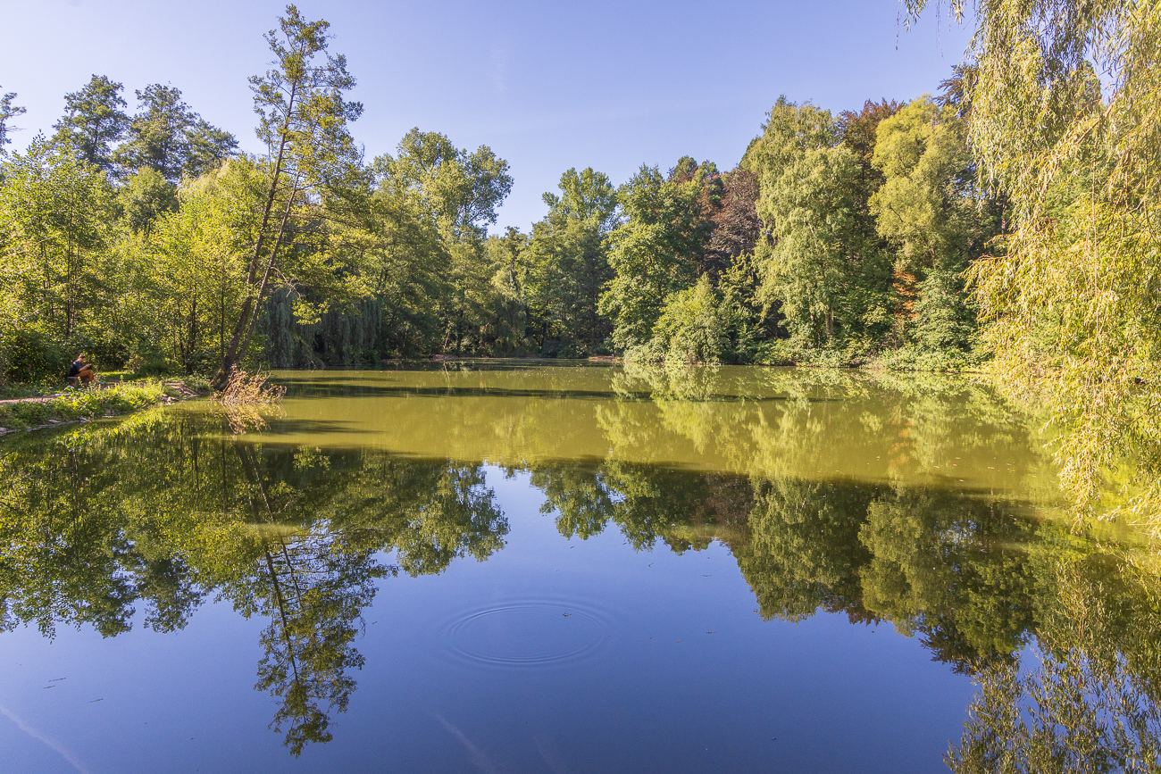 Der Simschel Weiher