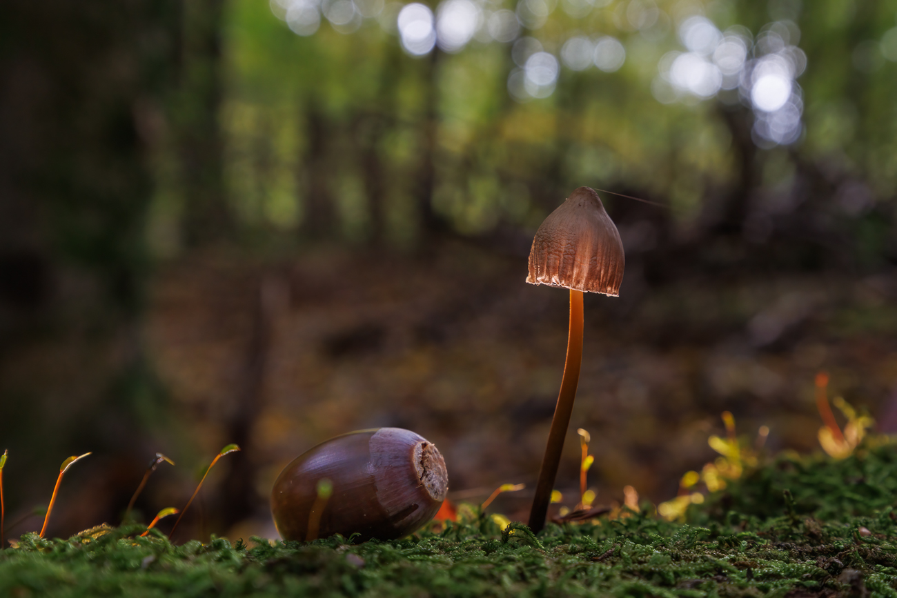 Mal das Licht einschalten ...