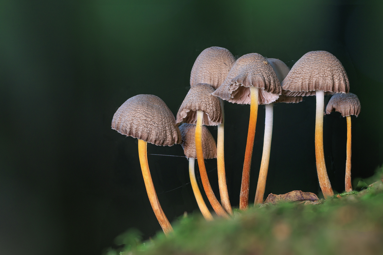 Stack mit 30 Bildern