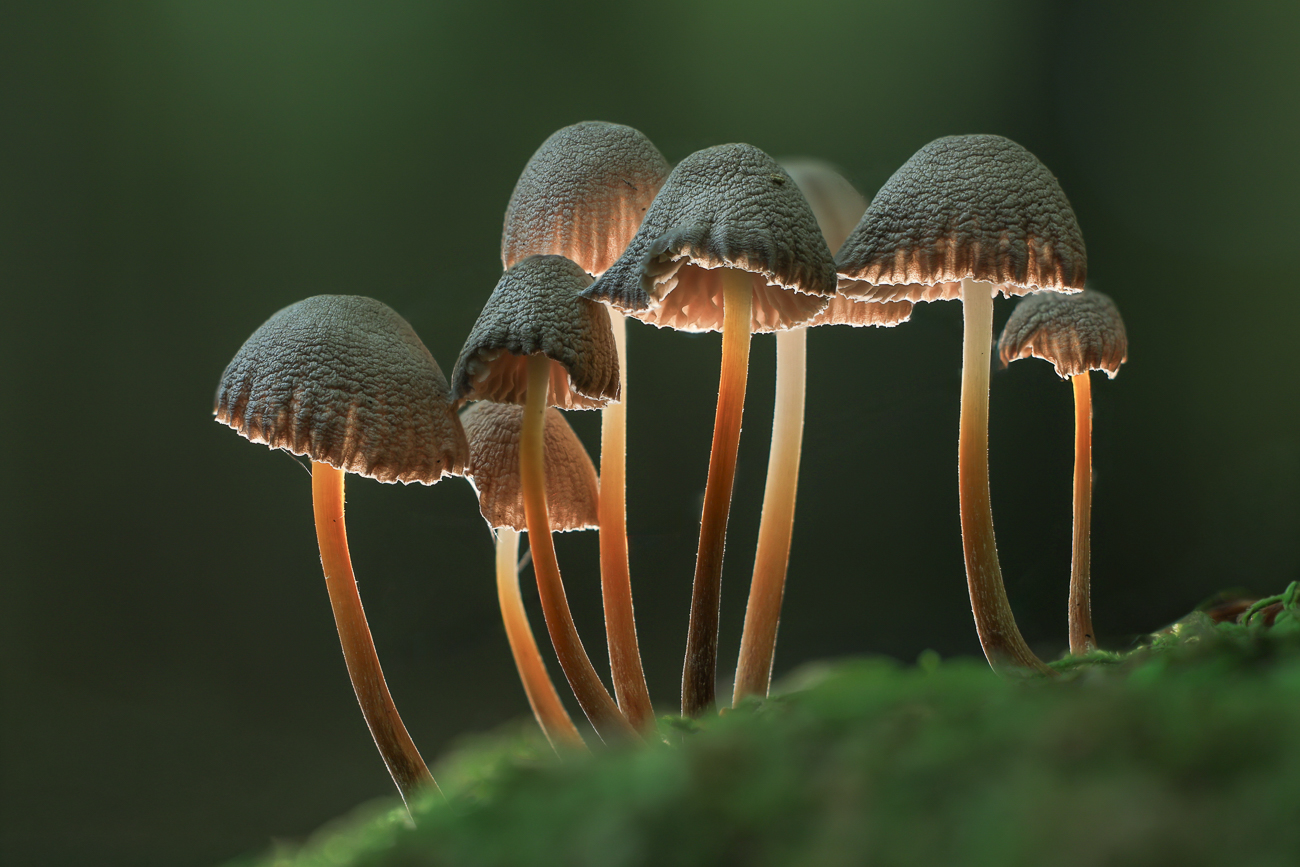 Stack mit 30 Bildern