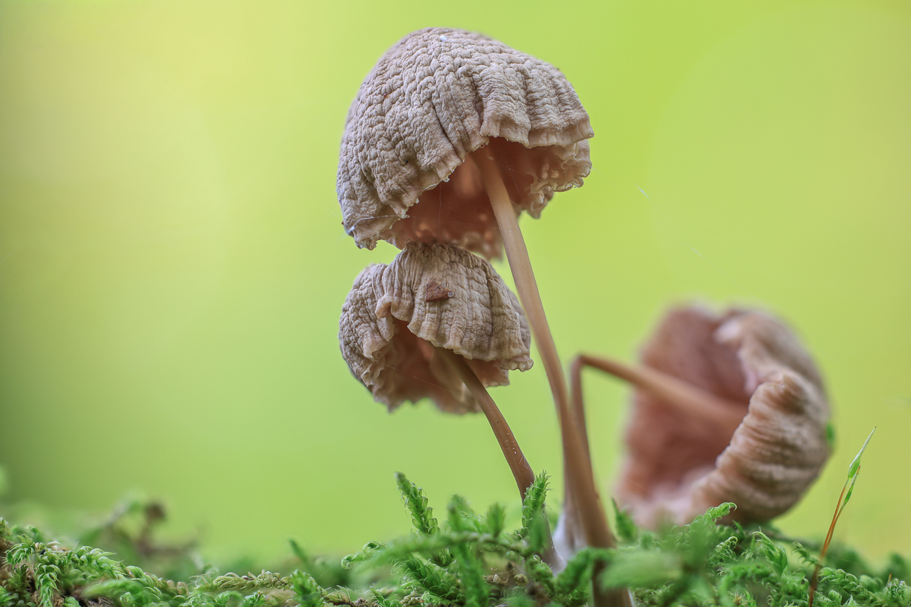 Stack mit 30 Bildern