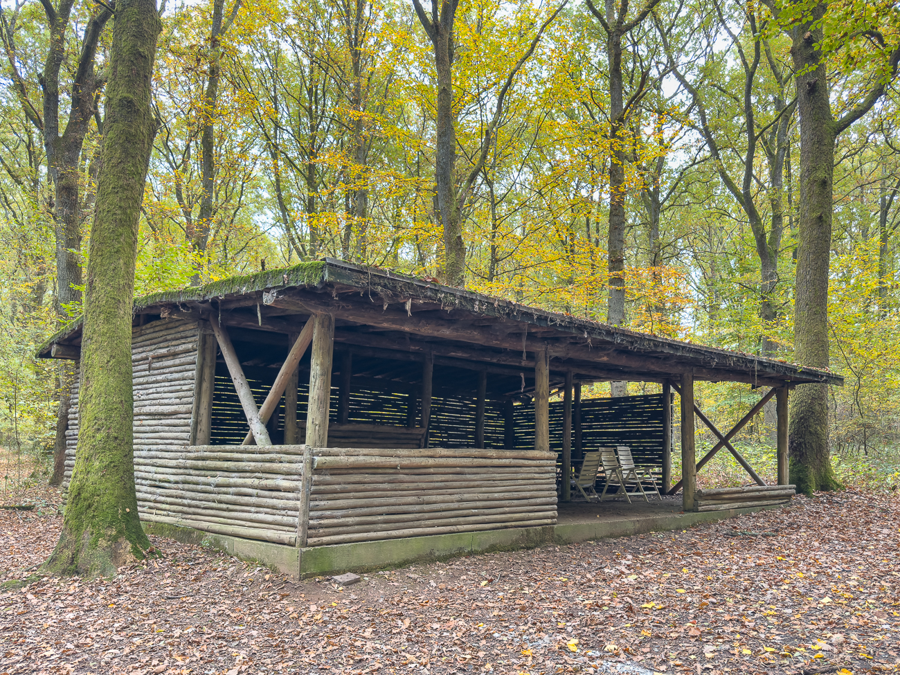Schutzhütte im Wald