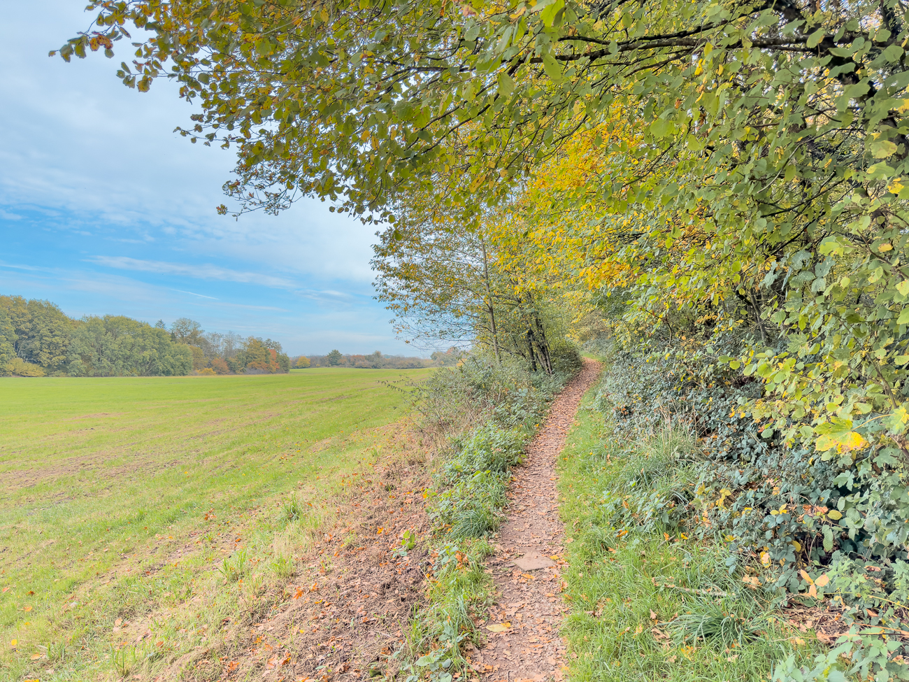 Schmaler Pfad Richtung Heimat