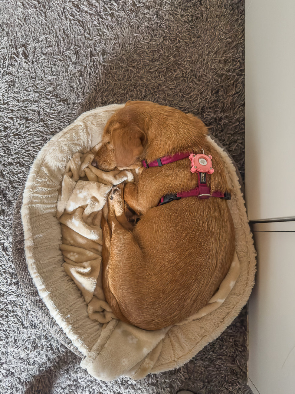 Nach der Wanderung ist Ruhe angesagt ;-)