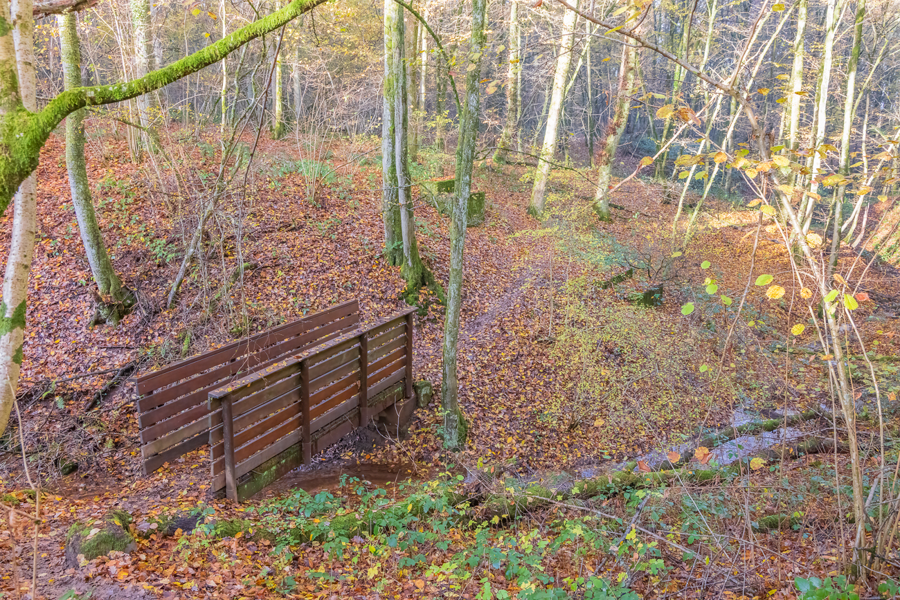 Br&uuml;cke &uuml;ber den Bach