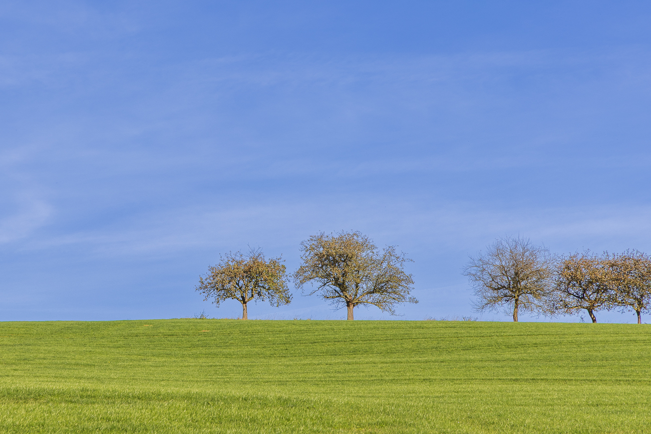 H&uuml;gel mit Obstb&auml;umen