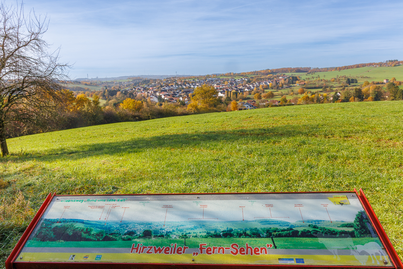 Blick auf Hirzweiler