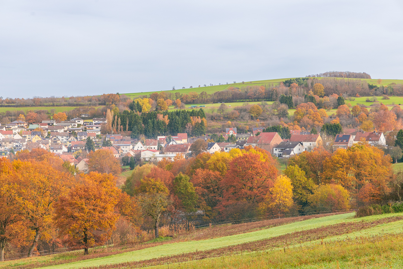 Sch&ouml;ne herbstliche Farben