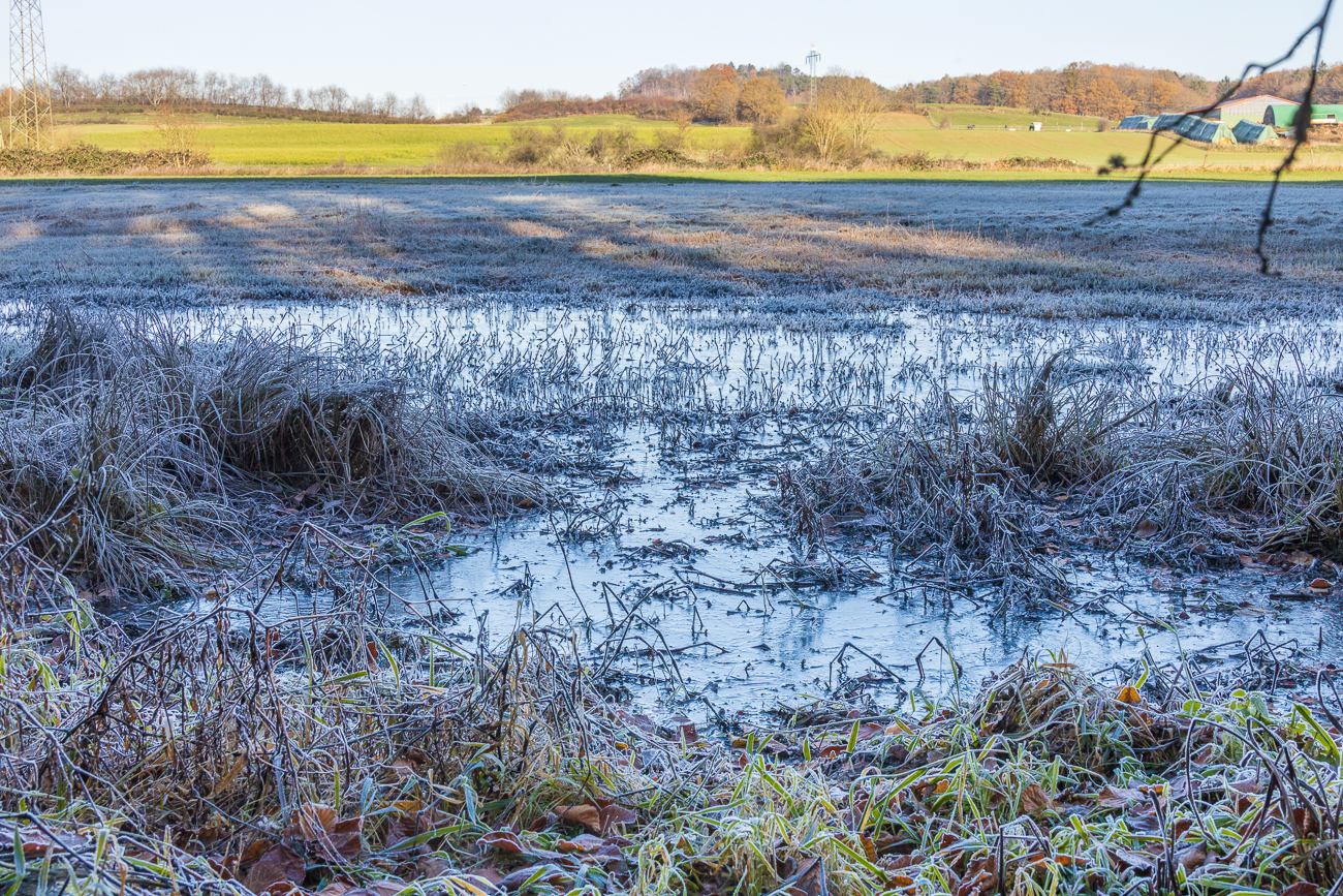 Auch die Pfützen tragen noch eine Eisschicht