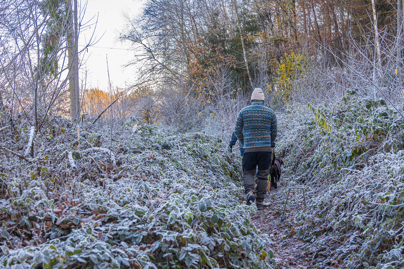Rauhreif an den Blättern