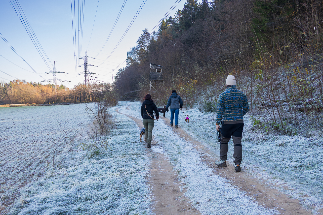 Am schattigen Waldsaum