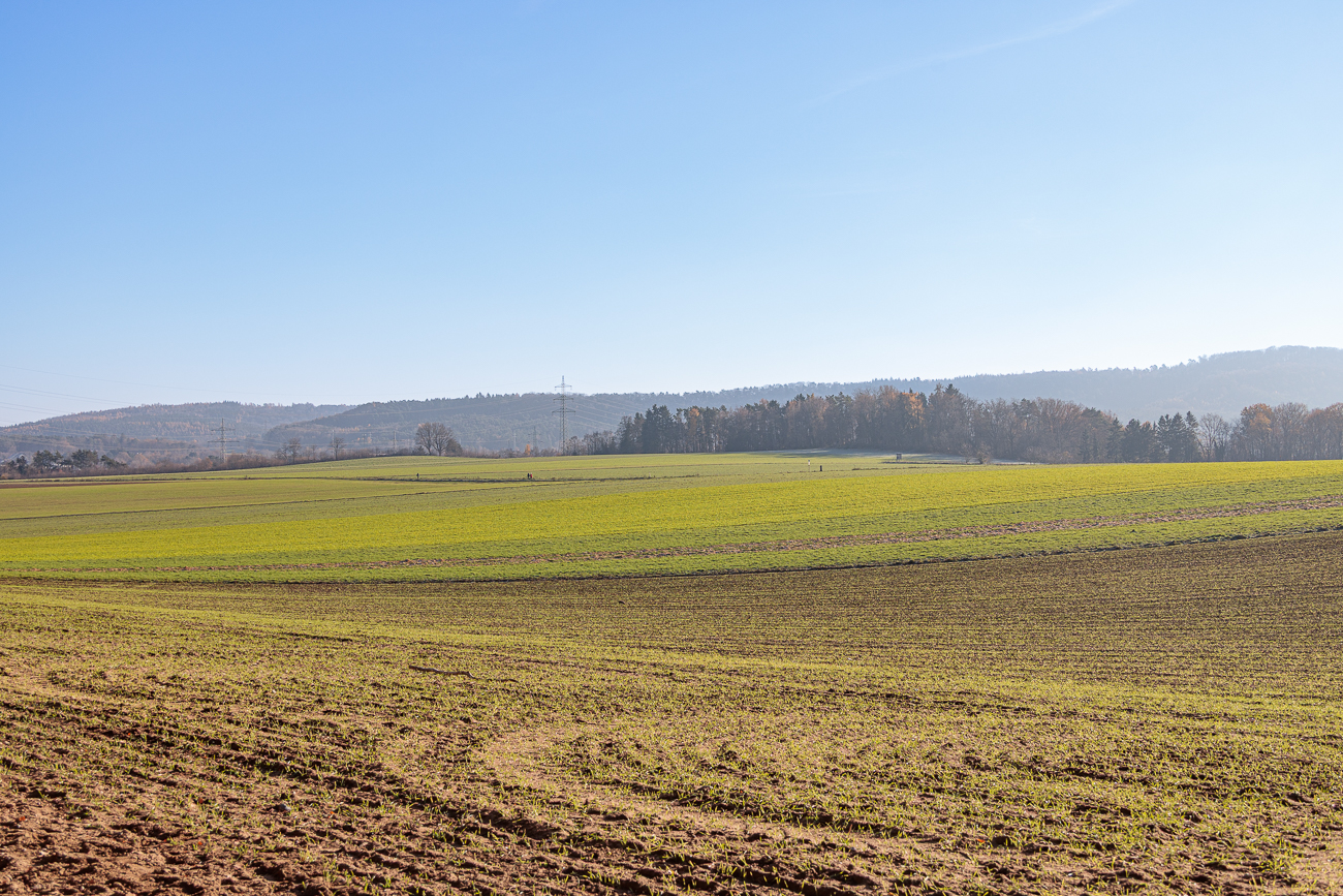 Spätherbstliche Landschaft