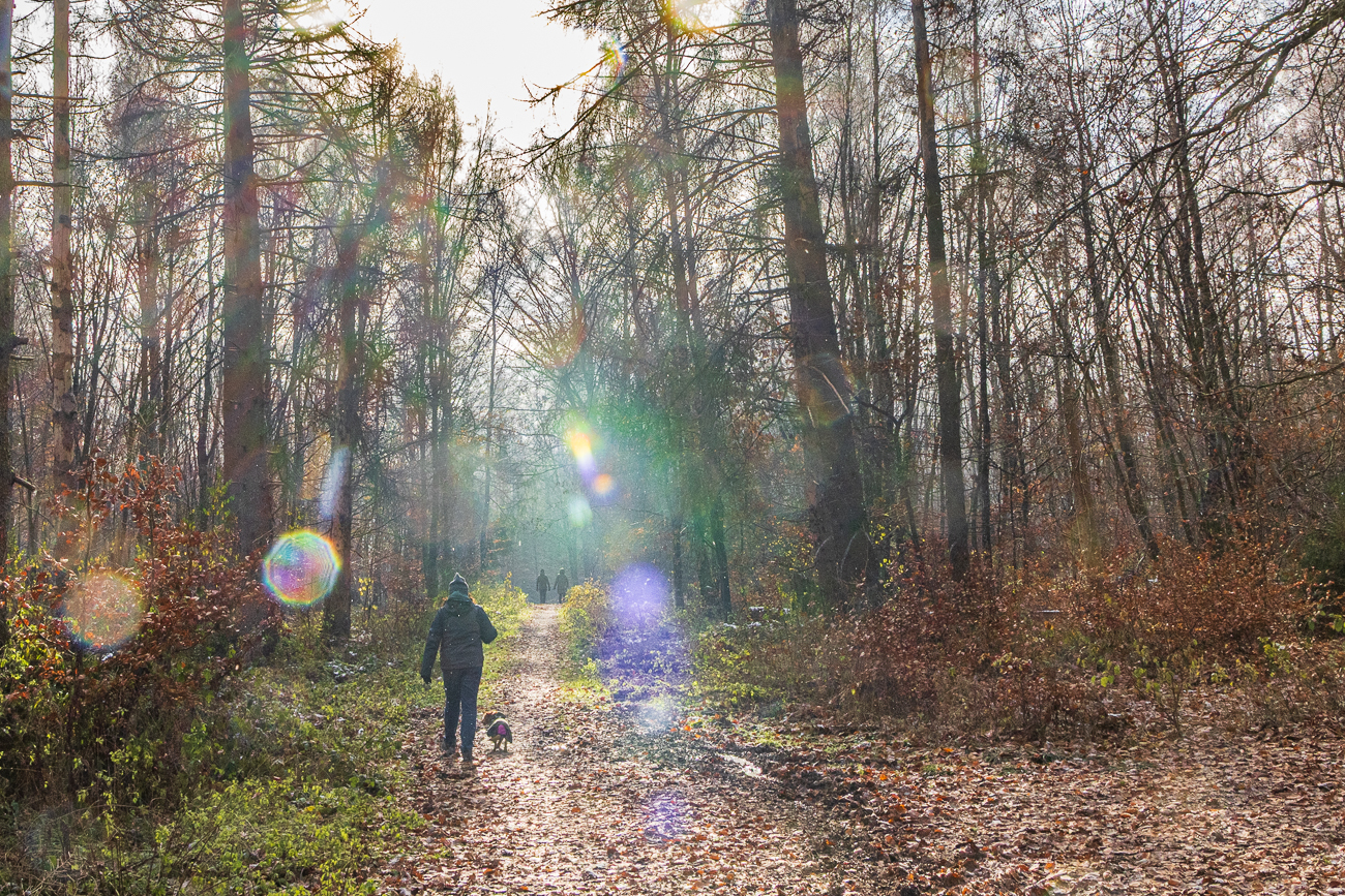 Da muss wohl mal die Linse geputzt werden ;-)