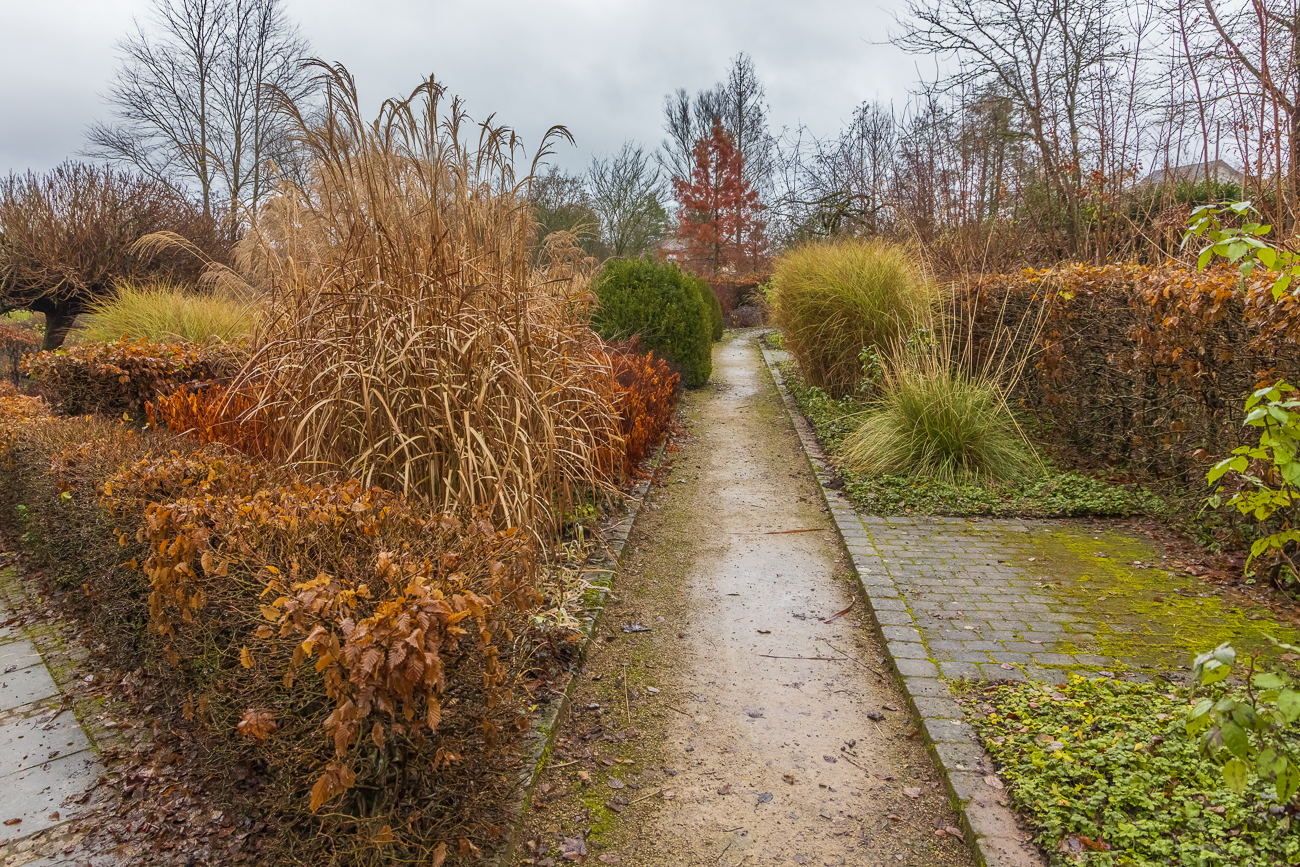 Im Staudengarten Weiskirchen