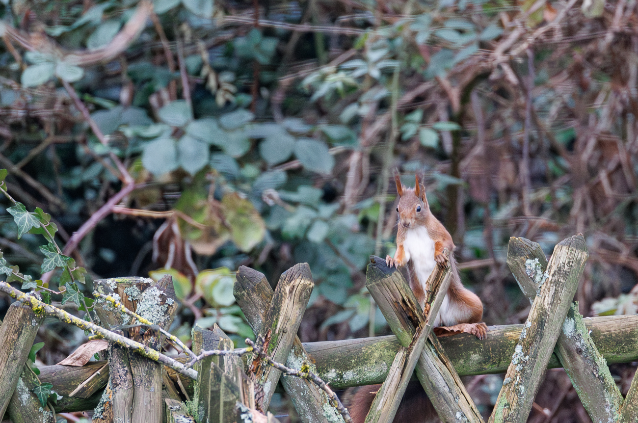 ... aber immer neugierig