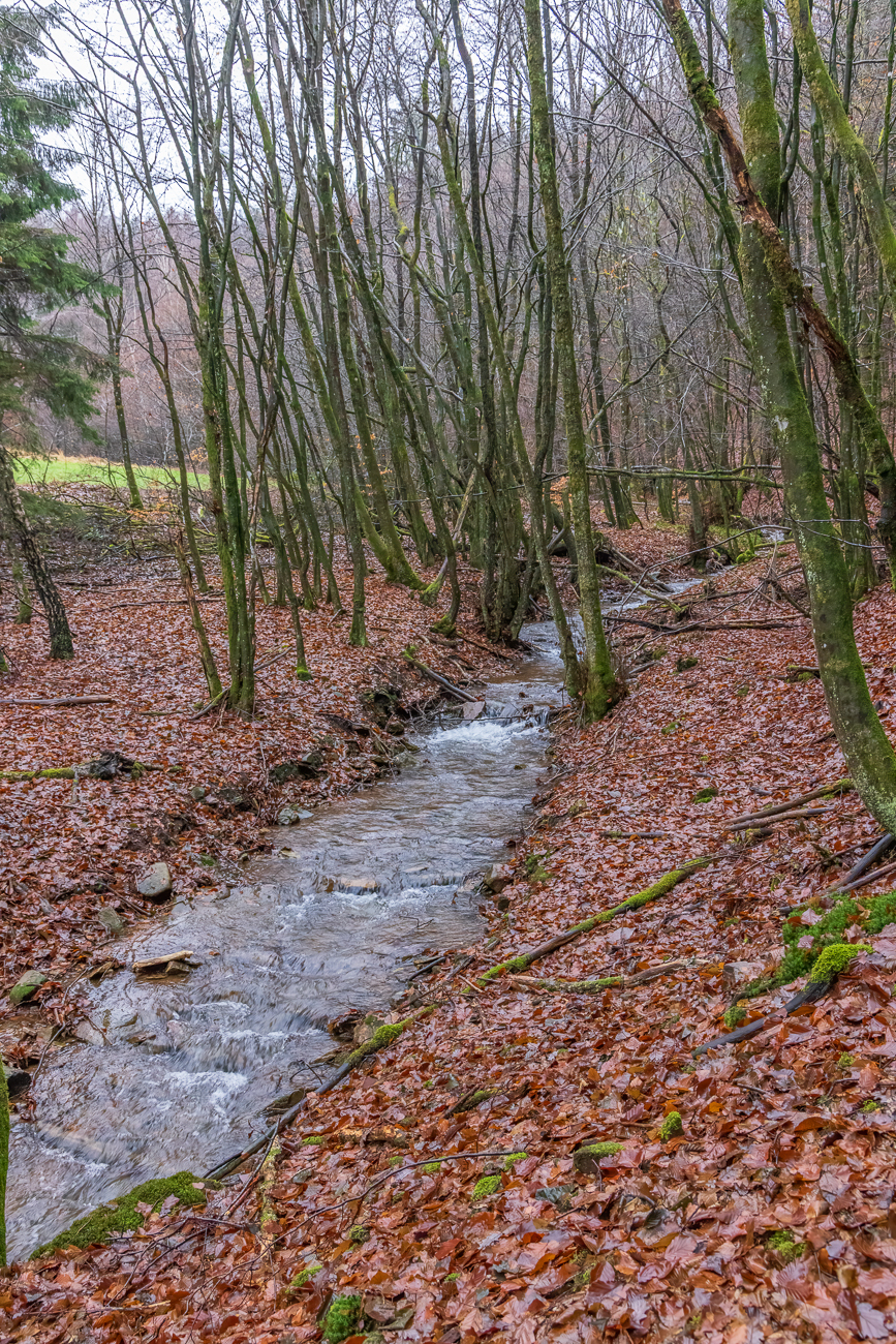 Am Schlittentaler Bach