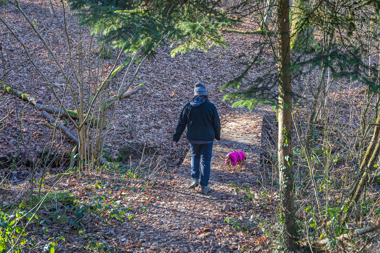 Br&uuml;cke &uuml;ber einen Bach