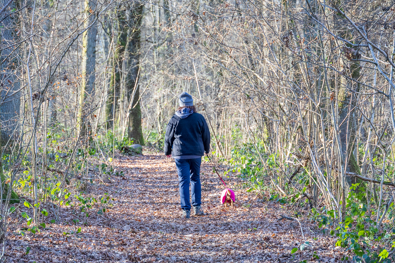 Frieda saugt den Wald durch die Nase ;-)