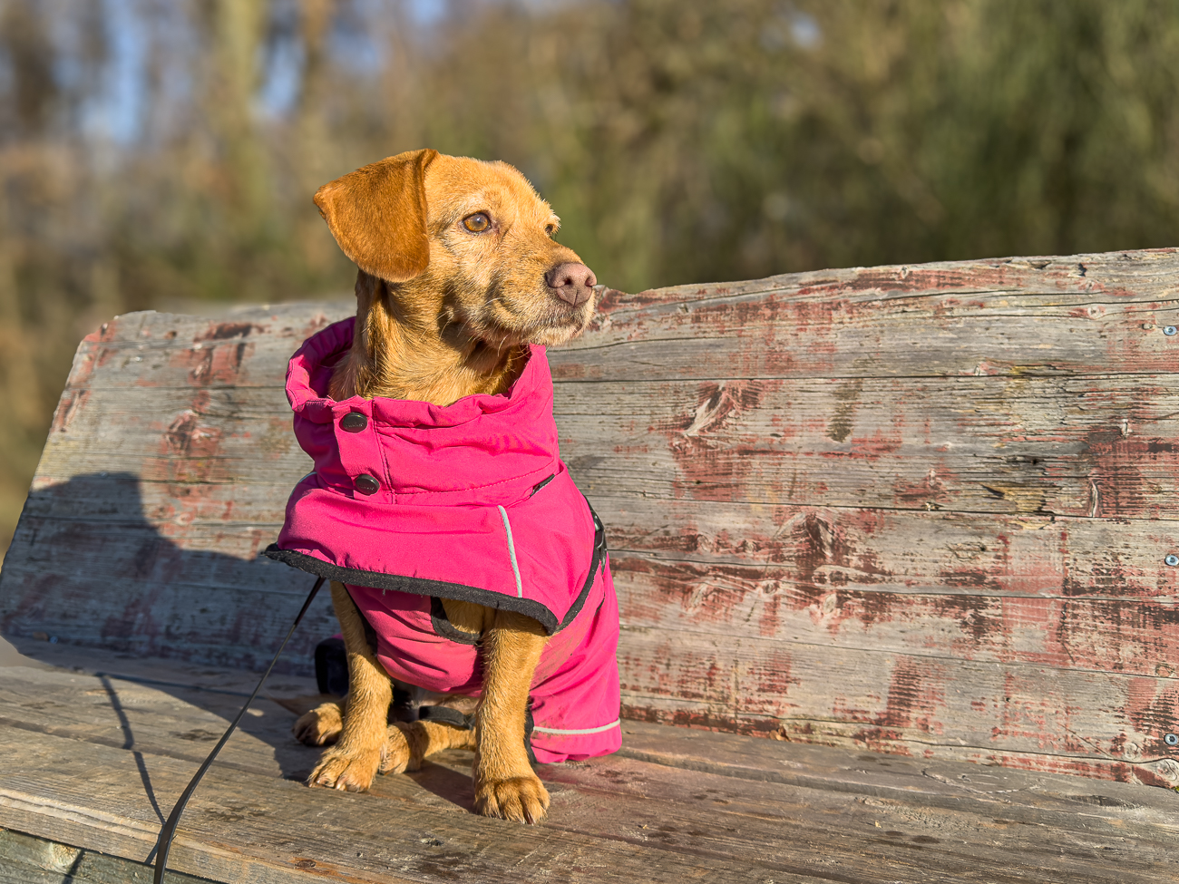 Frieda im M&auml;ntelchen