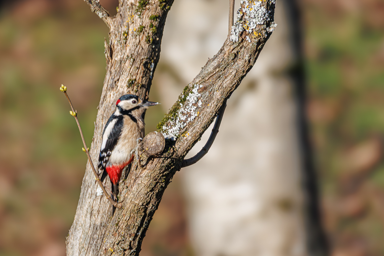 Irgendetwas zum Futtern war wohl darin