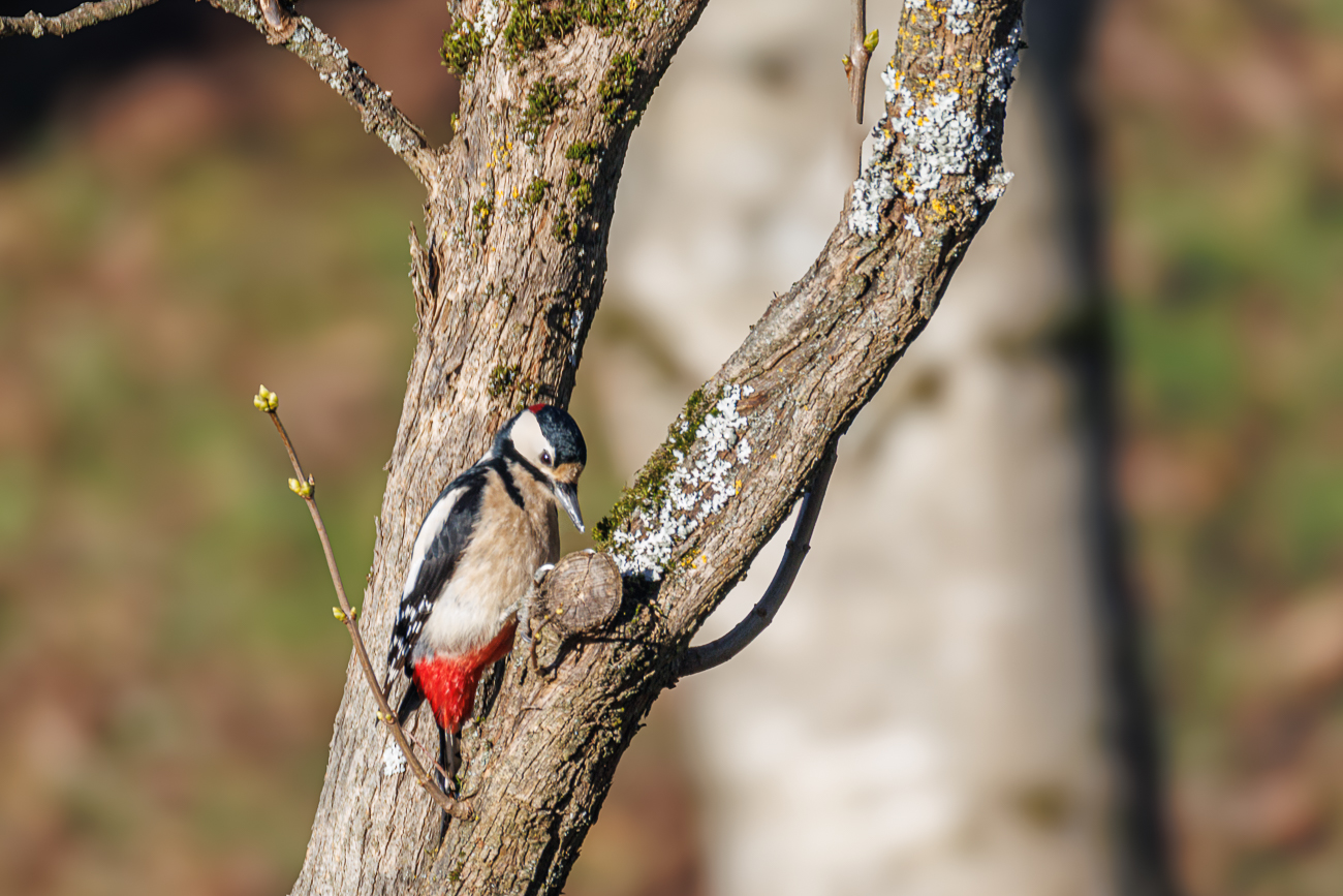 Schauen wir doch nochmal nach