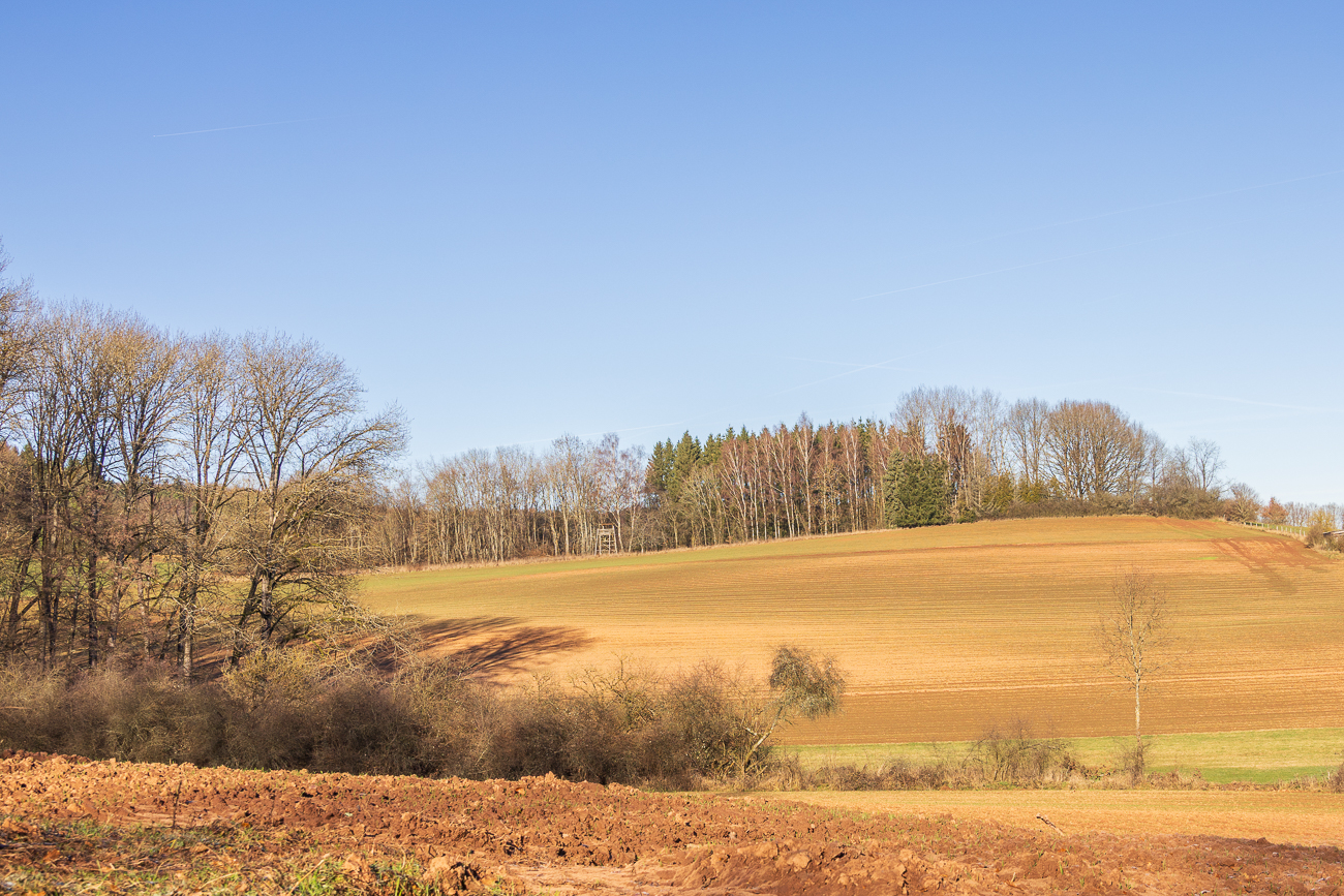 Blick &uuml;ber die Felder