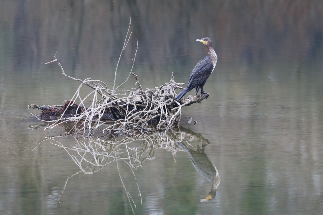 Einige Wanderungen die wir 2026 in Baden-W&uuml;rttemberg unternommen haben
