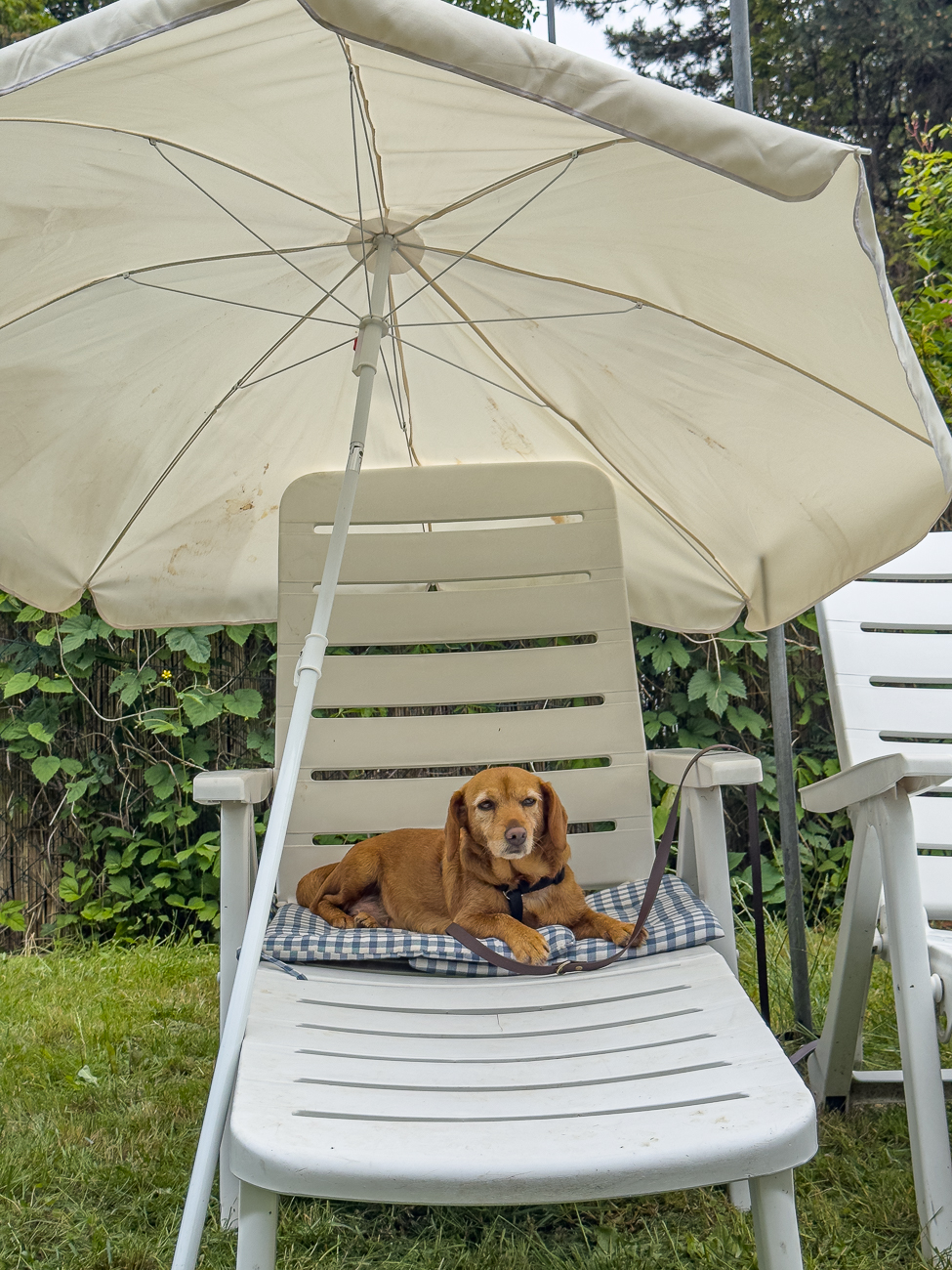 Entspannung in Schwesterleins Garten