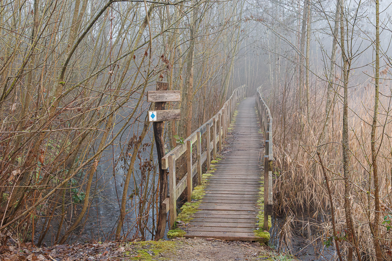Einige Wanderungen die wir 2026 in Luxemburg unternommen haben