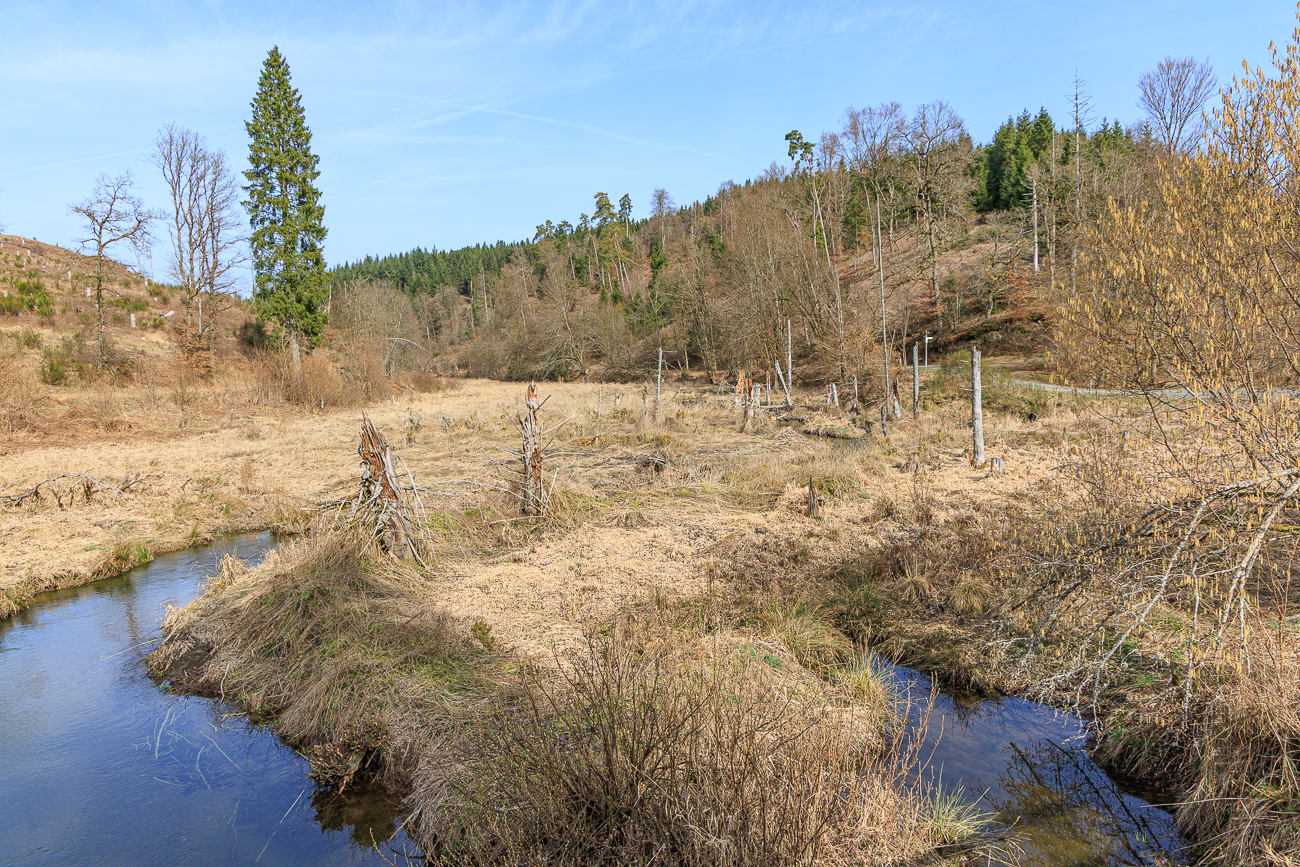 Einige Wanderungen die wir 2026 in Rheinland-Pfalz unternommen haben