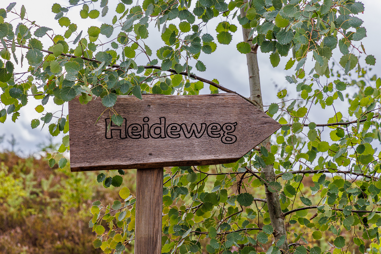 Ab in die Heide