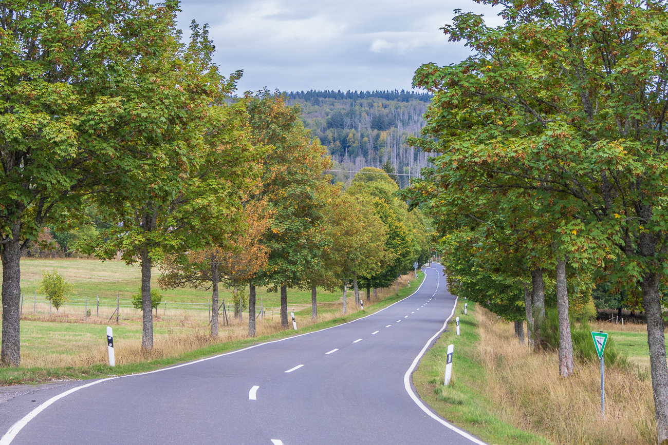 Schöne Allee