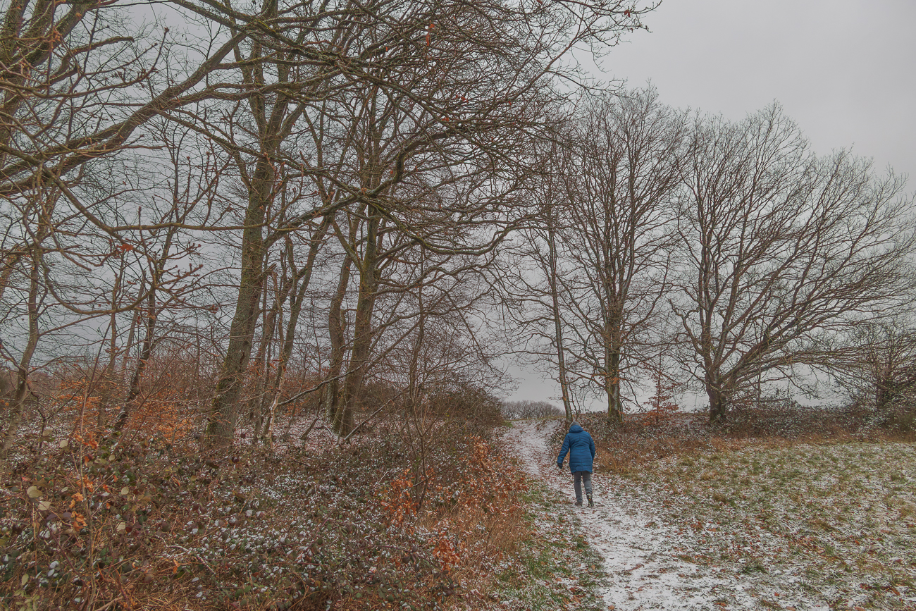 Es ist windig und ein leichter Schneefall hat die Landschaft gezuckert